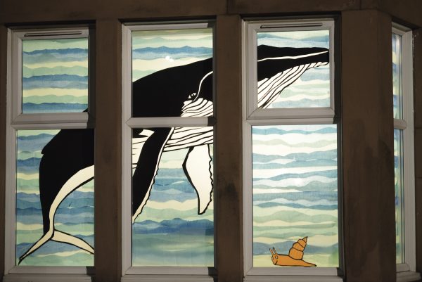 Three paneled bay window decorated with a back-lit blue whale swimming underwater